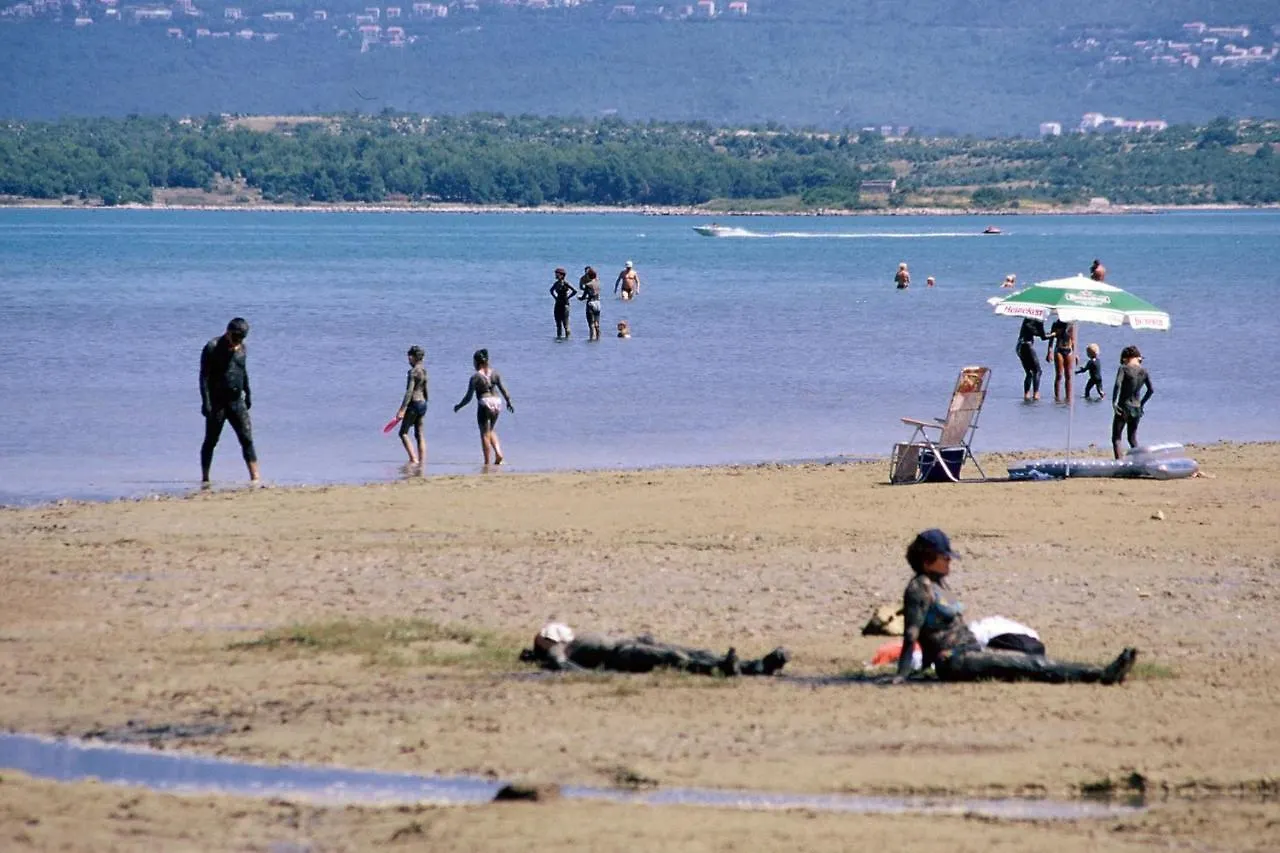 Family Friendly Apartments With A Swimming Pool Soline, Krk - 9715 Dobrinj